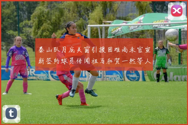 泰山队月底关窗引援困难尚未官宣新签约球员传闻祖马和贺一然等人